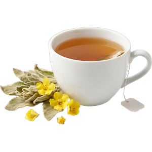 Té de gordolobo